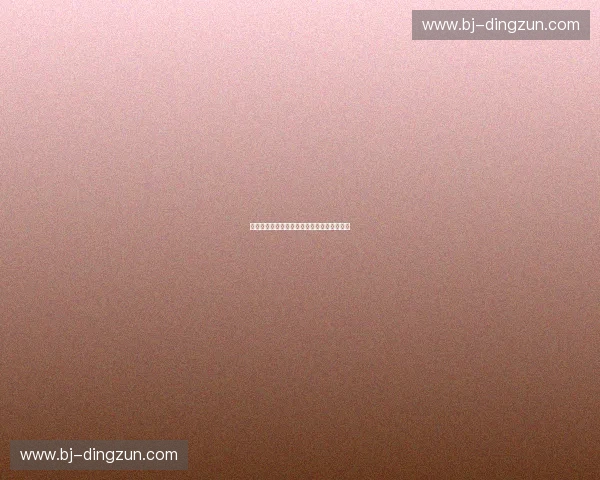 多语种解说服务助力全球文化交流与市场拓展