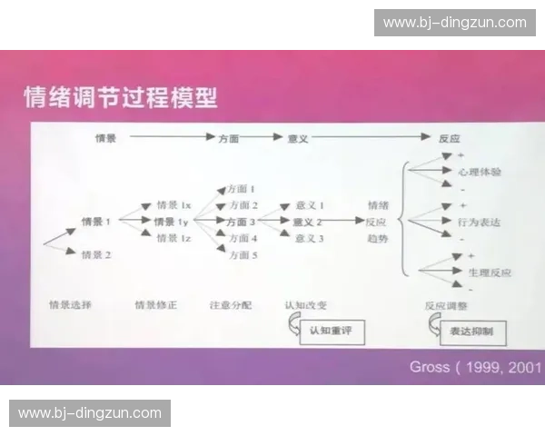 心理师视角下个体心理成长与情绪调适的实践探索